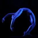 NEW ADAGIO: Maureen Fleming