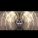 TREMOR - Ashley Dyer, Multi-Artform Practitioner, Exhibits at the Art House