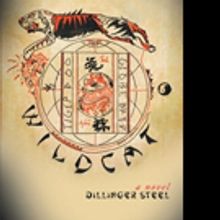 Dillinger Steel Pens WILDCAT