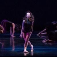 BWW Review: Nashville Ballet's ATTITUDE Offers Elegance and Intrigue at TPAC Photo