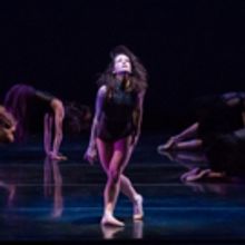 BWW Review: Nashville Ballet's ATTITUDE Offers Elegance and Intrigue at TPAC