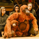 Photo Flash: First Look at Production Photos for the UK Tour of RUNNING WILD