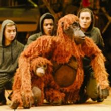 Photo Flash: First Look at Production Photos for the UK Tour of RUNNING WILD