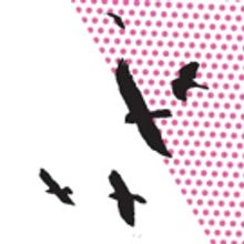 Conor McPherson's THE BIRDS Makes NYC Debut Tonight as Part of 1st Irish