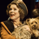 GYPSY's Imelda Staunton, THE AUDIENCE's Peter Morgan Make Queen's 2016 Honours List