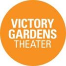 Victory Gardens' Teen Arts Council to Present SHOTS HEARD ROUND THE WORLD