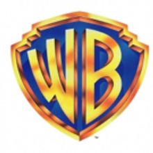 Allen Etherton Promoted to SVP, Planning & Analysis Warner Bros