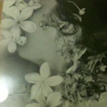 Female-driven Cast and Director Bring Hollywood Play to Sydney