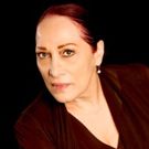 CDI to Present A WORLD OF DANCE Celebrating 25 Years & Venetia Stifler's NEIU…