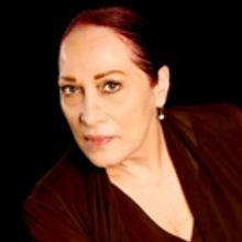 CDI to Present A WORLD OF DANCE Celebrating 25 Years & Venetia Stifler's NEIU Retirem