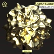 Julian Calor Launches Collaborative Music and Art Project INVOLVE