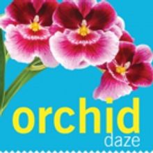 Step into a Tropical Oasis in ORCHID DAZE at Atlanta Botanical Garden