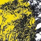 Principal Cast Announced for Stephen Sondheim's INTO THE WOODS at Rise Above…