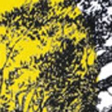 Principal Cast Announced for Stephen Sondheim's INTO THE WOODS at Rise Above Perform