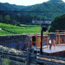 BWW Blog: Casey Hebbel - Dance the Night Away