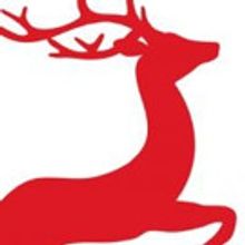 PRANCER Makes World Debut on The Rose Stage