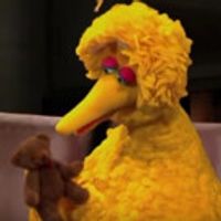 VIDEO: Jimmy Kimmel Thinks Trump Should Watch Sesame Street Before Cutting PBS… Video