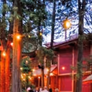82nd Season Opens in 4 Weeks at Peninsula Players Theatre