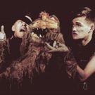 BWW Review: BEARS IN SPACE at 59e59 is Madcap Fun at 59E59