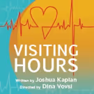 Kaplan's VISITING HOURS to Premiere at TheatreLab NYC on July 28th