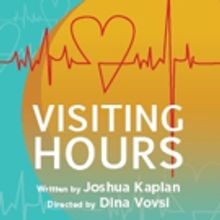 Kaplan's VISITING HOURS to Premiere at TheatreLab NYC on July 28th