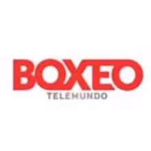 BOXEO TELEMUNDO FORD is Most-Watched Spanish-Language Boxing Program Year to Date