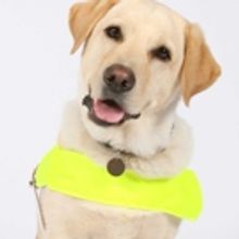 ATG Announces Disabled Access Day Plans & Programs