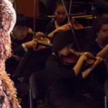 BWW Review: INTERLOCHEN ARTS ACADEMY Orchestra and Dancers Gave a Stellar Concert as 
