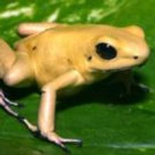 THE POWER OF POISON Exhibition to Close Sept 6 at the Truman Brewery