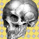Metro Arts Presents DEATHFEST