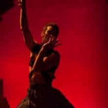 Annual Vampire's Ball at Synetic Theater - Friday, October 28