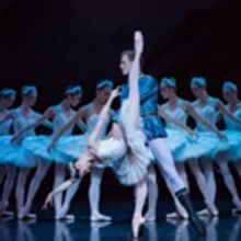 The Australian Ballet's SWAN LAKE Opens in Melbourne Today
