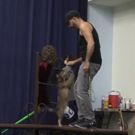 STAGE TUBE: Behind-the-Scenes With Toto From Phoenix Theatre's THE WIZARD OF OZ