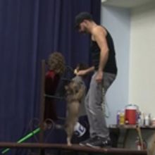 STAGE TUBE: Behind-the-Scenes With Toto From Phoenix Theatre's THE WIZARD OF OZ
