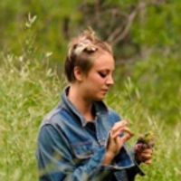 BWW Review: BURNING BODHI: The Tale's More Scattered Than The Ashes Photo