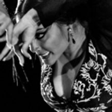 15th Chicago Flamenco Festival Announces Lineup of Dance, Film, Music and More