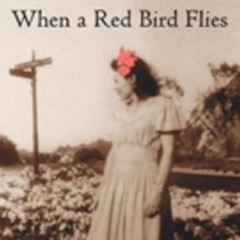 2016 Garcia Memorial Prize for Best Novel Goes to Karen Evancic's WHEN A RED BIRD FLI
