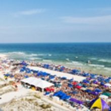 Flying Fish At Flora-Bama