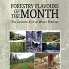 Forestry Expert Shares 'Forestry Flavours of the Month'