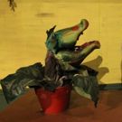 BWW Review: I Got Bit by Talent at This LITTLE SHOP OF HORRORS