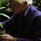 Mark Earth Day & Nat'l Poetry Month with THIRTEEN's W.S. Merwin: To Plant a Tree