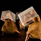 Cornish Playhouse to Welcome GISELLE DECONSTRUCT This Weekend