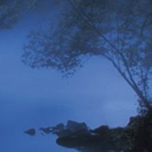 Walking Shadow Theatre Company Announces 2016-2017 Season