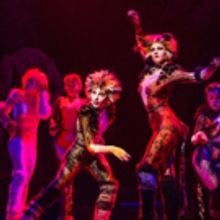 Review Roundup: CATS Returns to Broadway- All the Reviews!