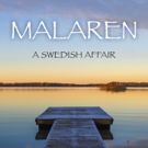 Sudden bereavement, Male-Bonding and a Nordic Backdrop in N.E. David's A SWEDISH AFFA