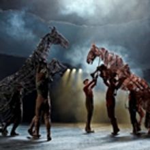 WAR HORSE to Launch New UK Tour at The Marlowe Theatre Next Autumn