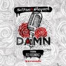 Sultan + Shepard Release 'Damn' feat. Red Rosamond