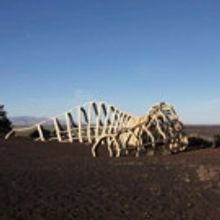 Cynthia-Reeves Announces Ribbon-Cutting Ceremony for John Grade's New Public Art Ins