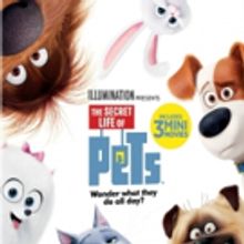 SECRET LIFE OF PETS Coming to Digital HD, Blu-ray/DVD & On Demand This Holiday Season