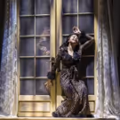 Photo Flash: First Look at Goodman Theatre's Chicago Premiere of DESTINY OF DESIRE